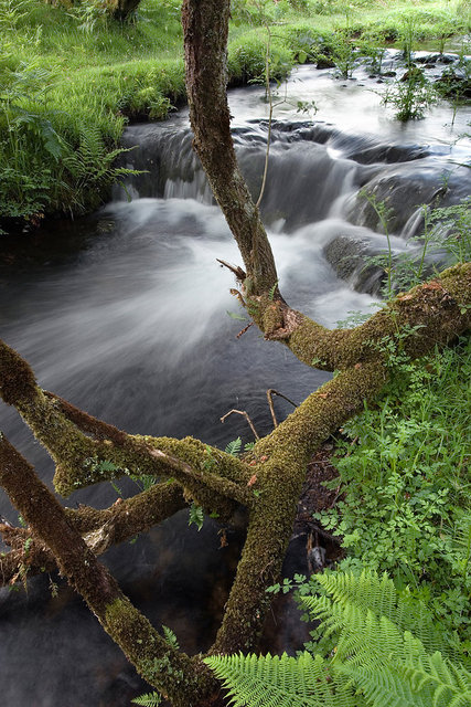 Newleycombe Lake