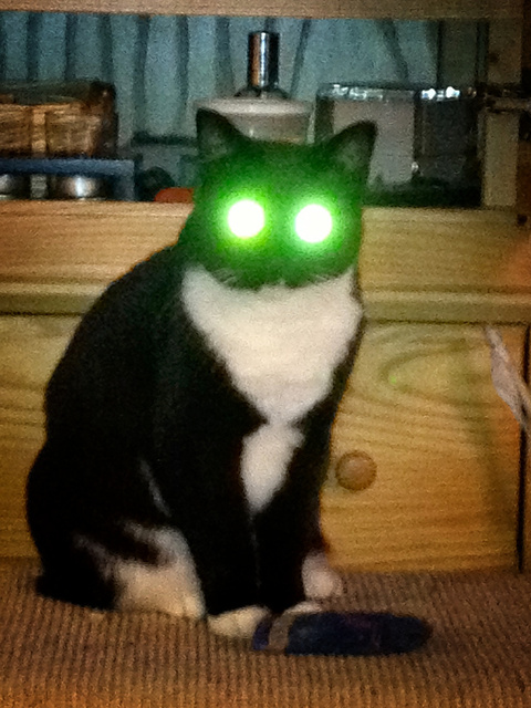 Green Lantern Kitty Eli