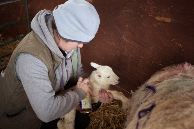 Laura Boulton, Westbury on Severn, Gloucestershire