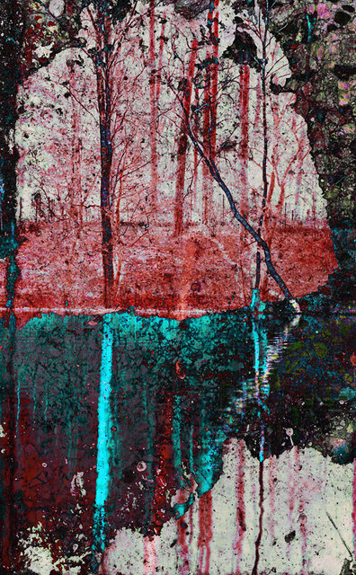 Las XII, vigrafia 172, 77x57