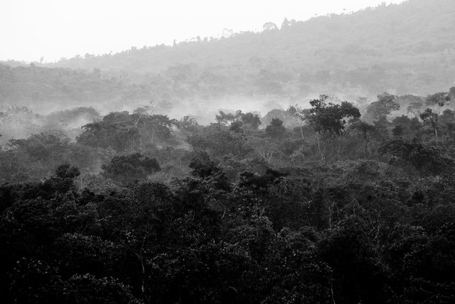 Ntenyeru Rise © Linelle Deunk