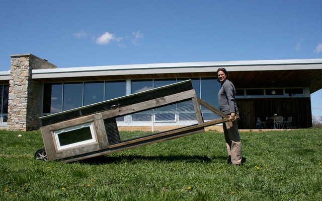 The coop can be wheeled to fresh ground