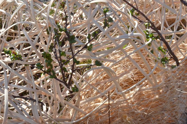 Installation woven of wood and rattan for 'Kunst i Natur* in Åndalsnes, Norway 2015