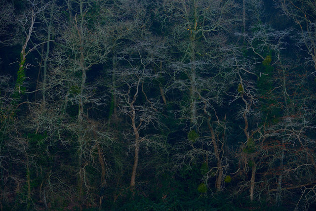 Vallée de Tréauray 3