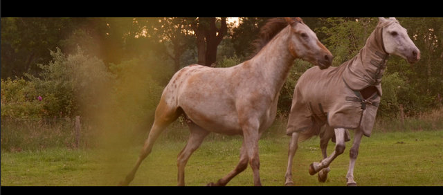 Screen Shot 2015-07-01 at 13.45.15.png