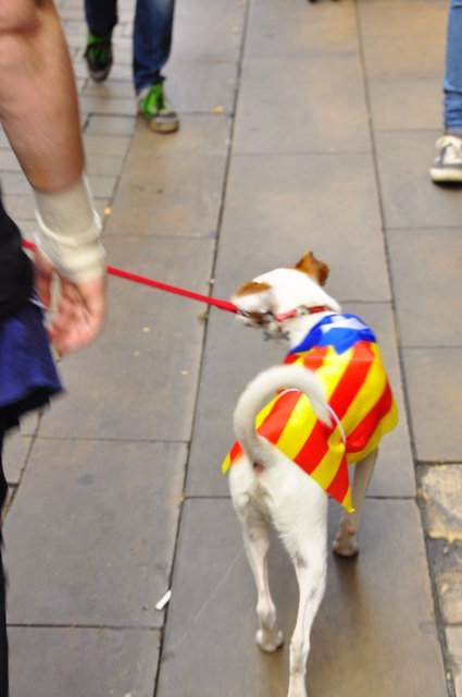 Barcelona, septembre 2013
