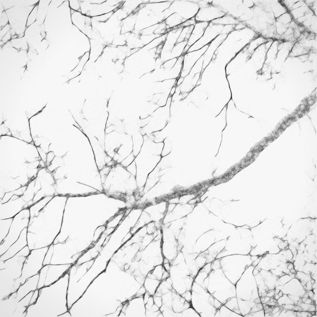 Trees 05