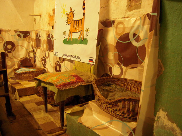 DSCN5959.JPG