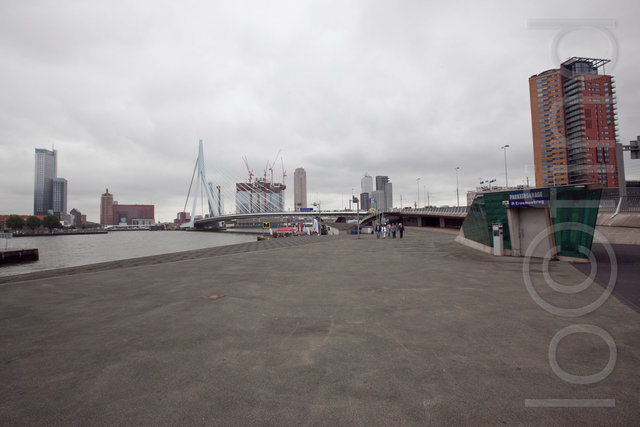 _MG_4595.jpg