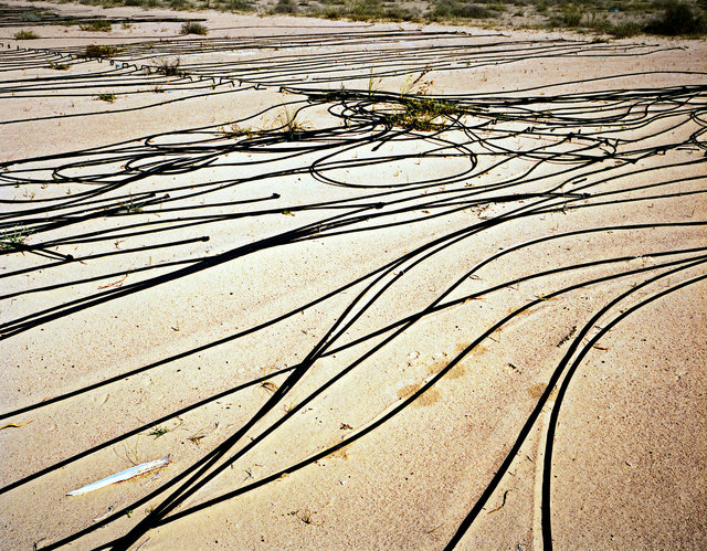 Making the desert bloom