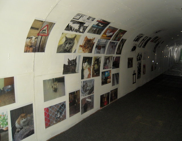 DSCN6049.JPG