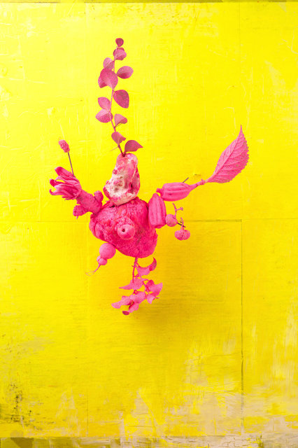 Shocking Pink Heart from the series Dalston Anatomy © Lorenzo Vitturi | Courtesy Kahmann Gallery