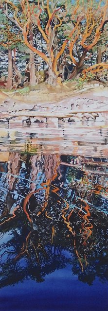 Wallace Island Reflections 1