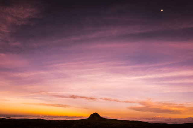 Bale Mountains, Ethiopia. 2015.