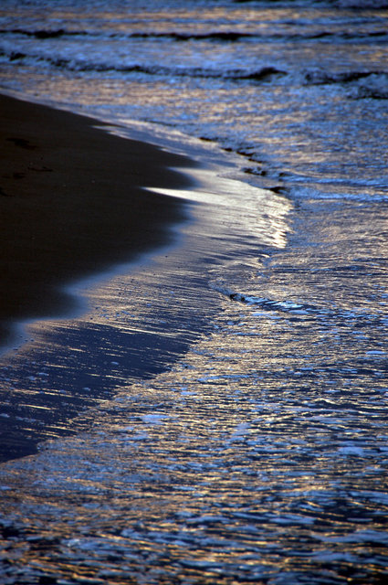 Delta del Ebro_0020.JPG