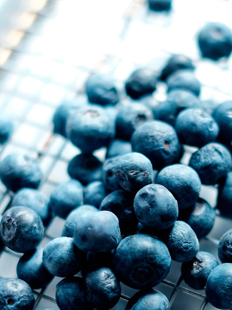 berries-4x5.jpg