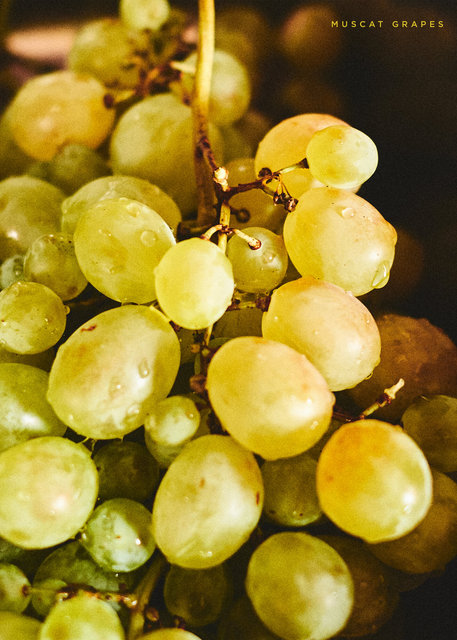 grapes-muscat.jpg