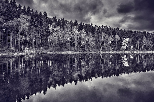 Skape Lake Reflection