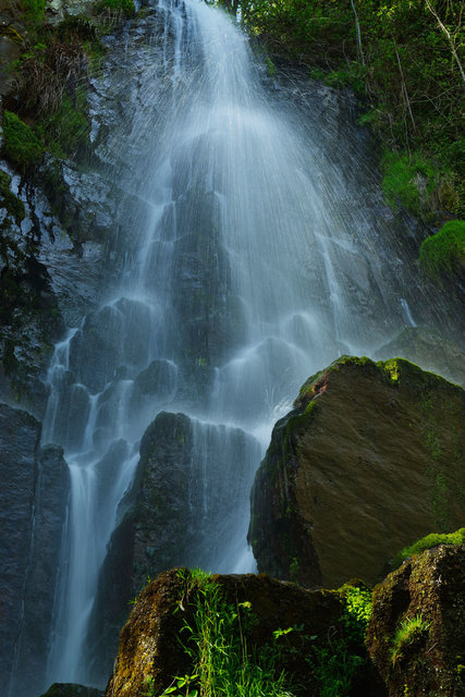 Vosges 1
