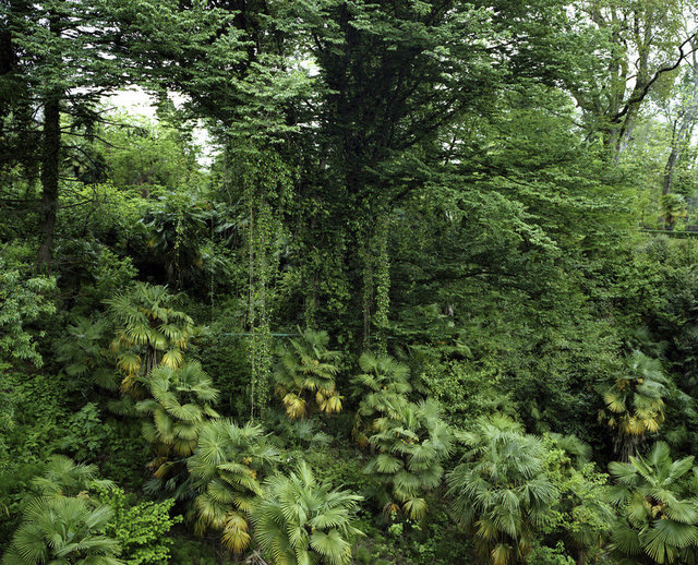 FLA0461796.jpg