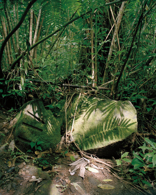 Manoa Valley, Hawaii, 2015