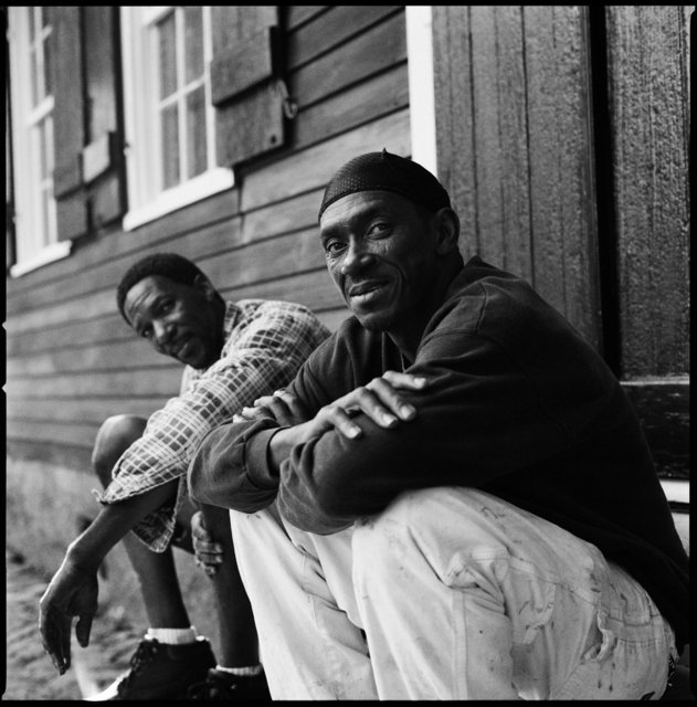 New Orleans Painters