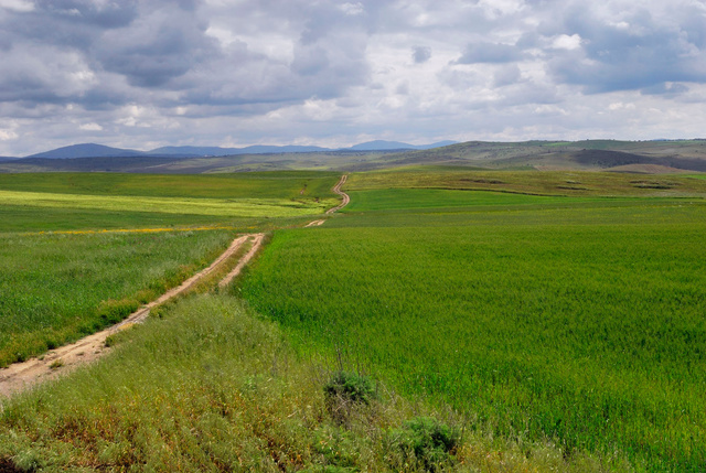 Le chemin de Fuente de Campos, Estremadure