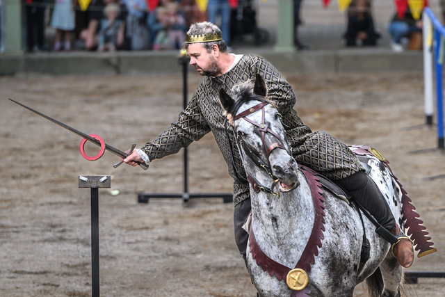 Gribshundens dag 2025