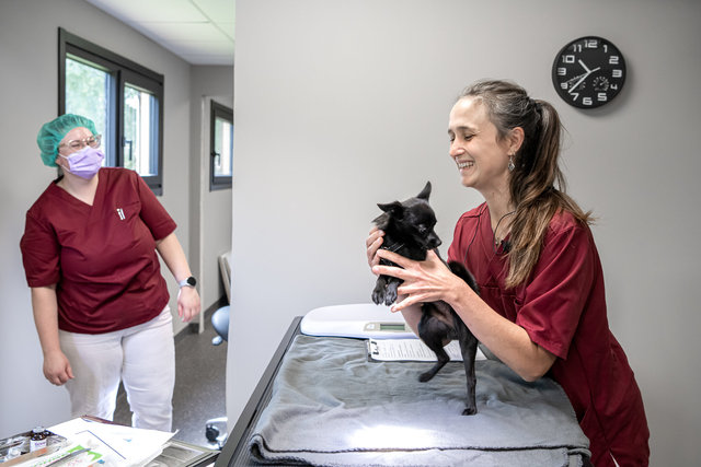 Karlshamns smådjursklinik