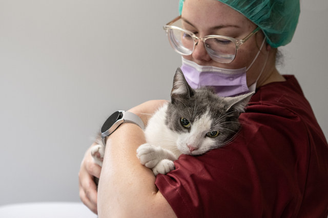 Karlshamns smådjursklinik