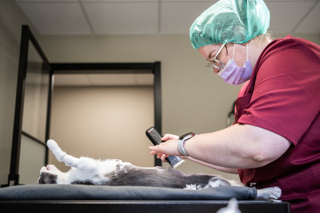 Karlshamns smådjursklinik