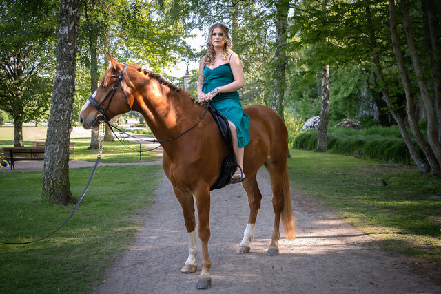 Studentbal 2023 - 2025