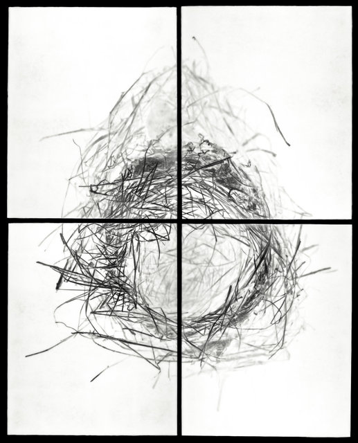 RootsNests-62.jpg