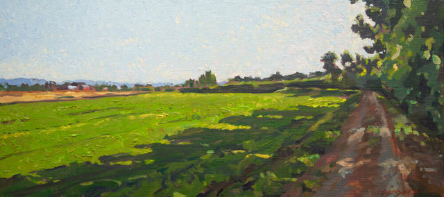 August Afternoon On Fir Island Dike