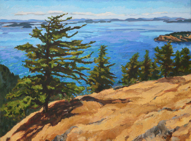 Firs above Boundary Pass