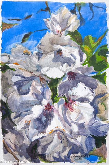 Cherry Blossoms 3_ watercolor_ 18 x 12 inches_ Artist ref 2024-5.jpg