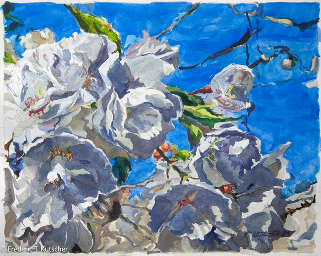 Cherry Blossoms 2_ Watercolor_ 15 x 12 inches_ Artist ref 2024-6.jpg