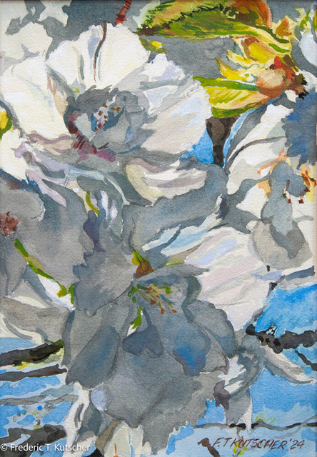Fruit Blossoms-April 1st- watercolor- 13.75 x 9.125 inches- Artist ref 2024-7.jpg