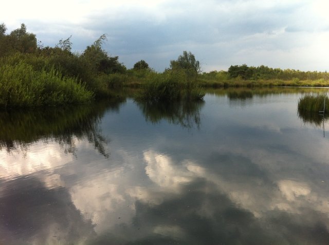 De Groote Peel, The Netherlands