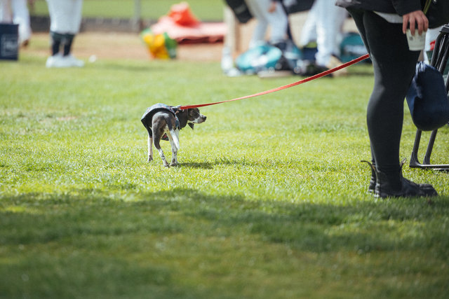 wilde-delta-k-loops-tourn-vs-blaze-439.jpg