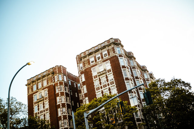 wilde-jays-portland-streets-may25-2024-69.jpg