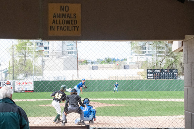 wilde-bluejays-at-athletics-april-21-2024-397.jpg