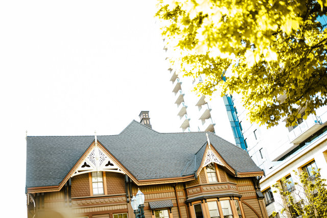 wilde-jays-portland-streets-may25-2024-1.jpg