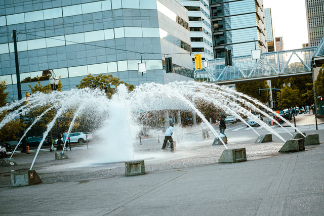 wilde-jays-portland-streets-may25-2024-56.jpg