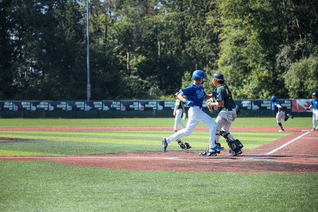 wilde-delta-jays-pbl-playoffs-2022-800.jpg