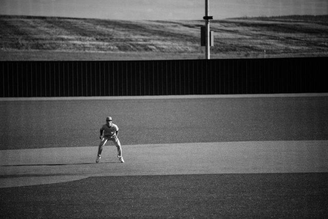 wilde-jays-webber-calgary-june2-2024-6113.jpg