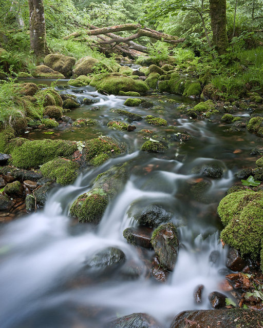 River Meavy