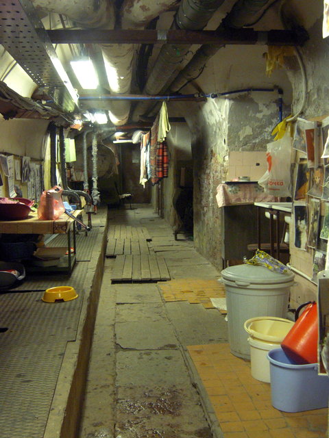 DSCN5592.JPG