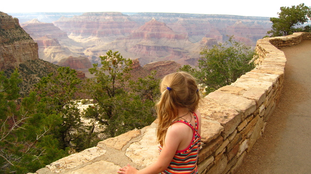 taking it in, grand canyon