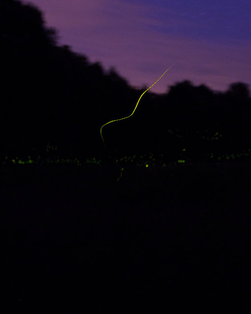 lightningstreak.jpg